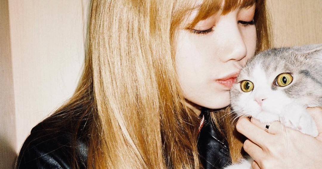 Instagram.com/lalalalisa_m